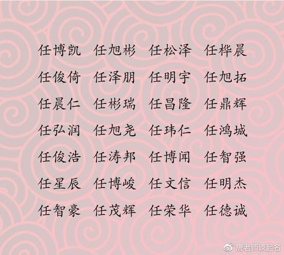 任姓宝宝起名字（任姓取名字大全男孩2022）