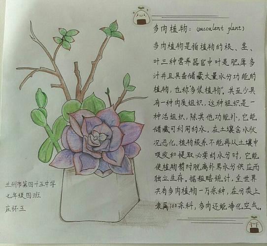 植物画报起名字大全（植物画报是什么意思）