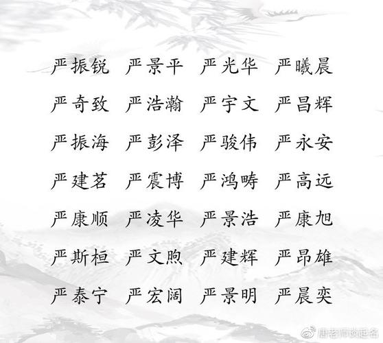 性严给宝宝起名字（严性取名男孩）