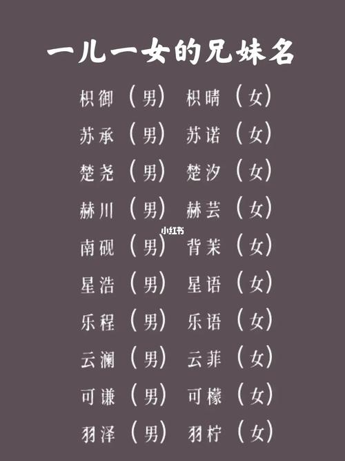 姐弟起名搞笑名字大全集（姐弟起名搞笑名字大全集两个字）