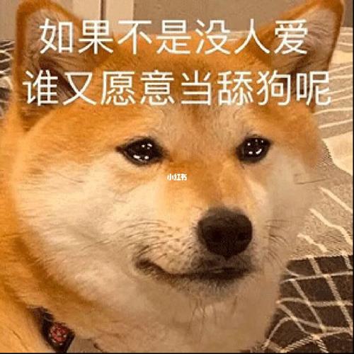 舔狗起名字大全（舔狗该用什么网名）