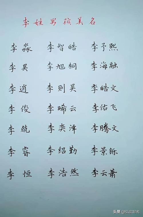 李姓双胞胎女宝宝取名大全（李姓双胞胎取名字大全男孩名字）