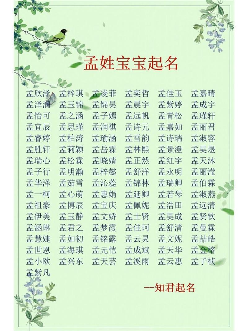 孟姓女宝宝取名（2020年孟姓女孩名字大全）