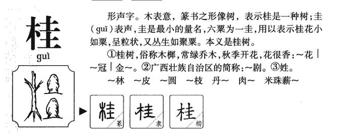 桂字公司起名字大全女孩（桂字公司起名字大全女孩）