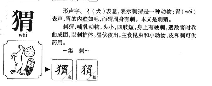 刺猬起名男孩名字大全（刺猬起名男孩名字大全四个字）