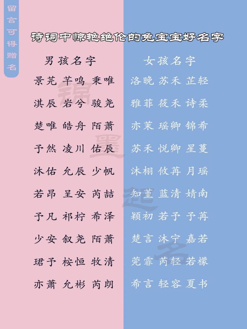 兔子宝宝诗词起名字大全（给兔子起名字有寓意）