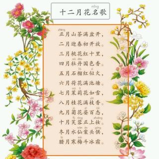 宝宝花名怎么起名字大全（宝宝花名怎么起名字大全四个字）