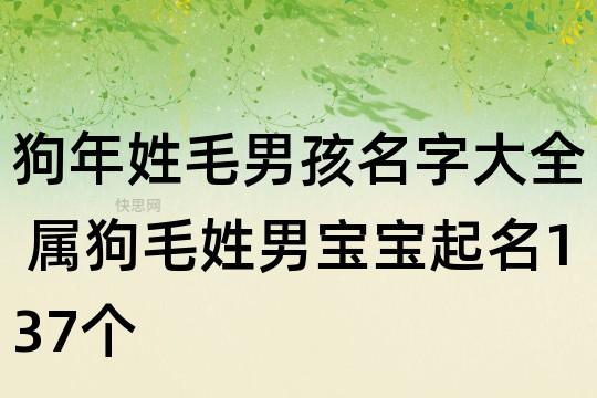 姓毛宝宝起名字（2020给毛姓宝宝取名字）