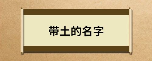 带土起名字大全（带土取名字）