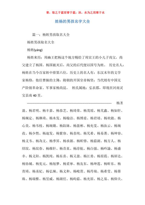 姓杨怎么给公司起名字大全（姓杨怎么给公司起名字大全两个字）