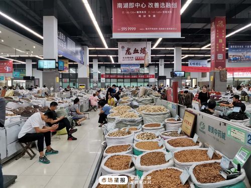 亳州药材店铺起名字大全（药材店铺名字大全2021）