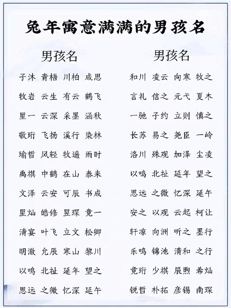 兔年起名男孩名字大全（兔年男孩取名字寓意好的字）