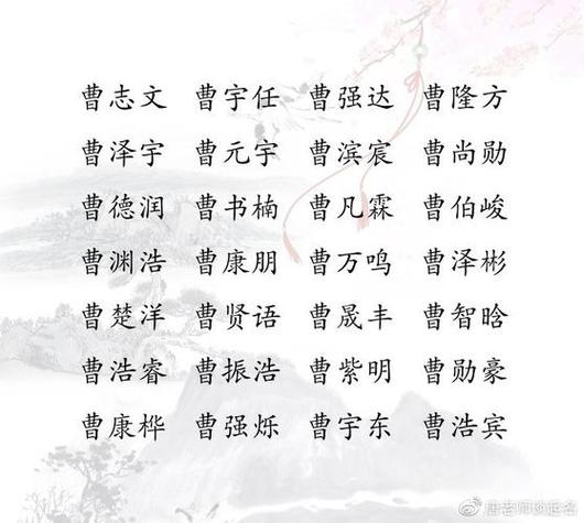 属鼠的公司起名字大全男孩（属鼠的公司起名字大全男孩子）