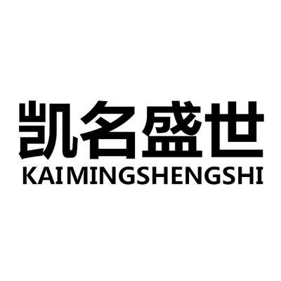 用盛世公司起名字可以吗（盛世这个名字怎么样）