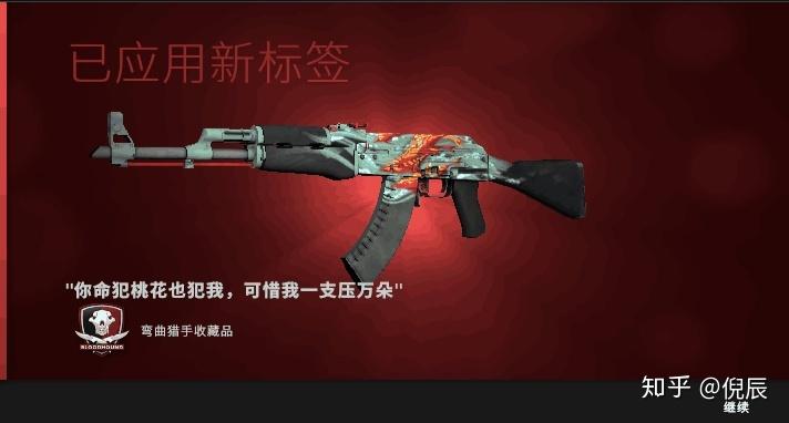 csgo枪起名字大全（csgo枪的好名字）