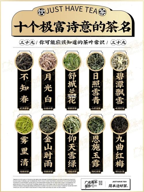 绿茶起名字大全（绿茶起名字大全女孩）