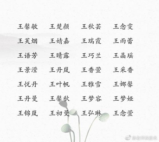 王性女宝宝起名字（王性女孩起名）