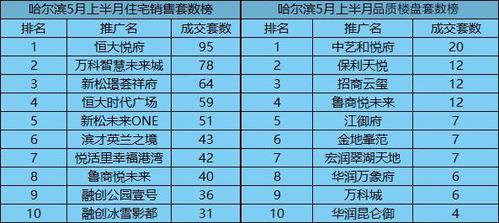 哈尔滨房地产公司起名字（哈尔滨房地产公司最新排名）