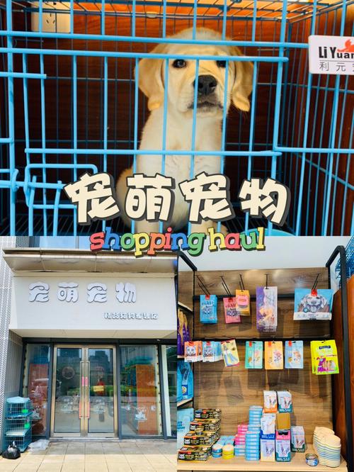 猫狗公司起名字怎么起的（猫狗宠物店名字大全）