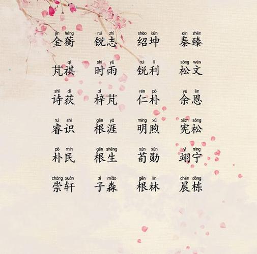 出世宝宝起名字（出世宝宝起名字大全集）