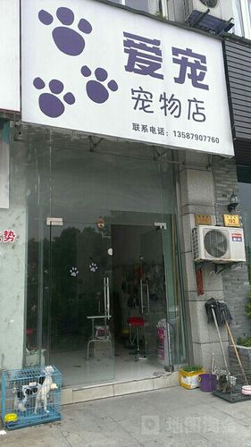 宠物店铺名称大全（宠物店名字好听）