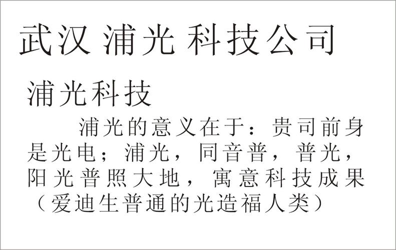 光电公司起名字（光电公司取什么名字好）