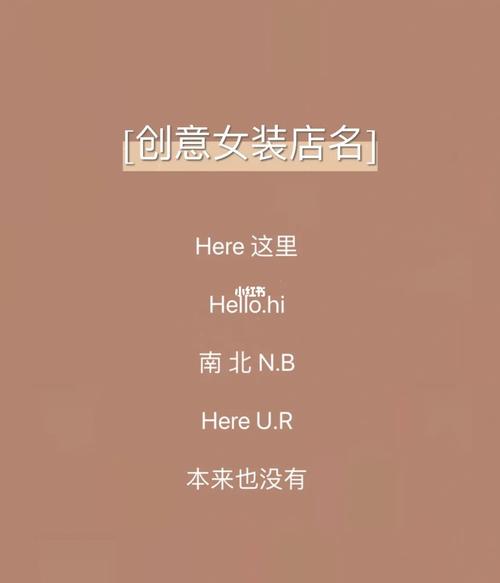 李小众女装店铺起名大全（小女装店名字）