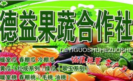 给蔬菜店铺起名大全两个字（蔬菜店铺取名）