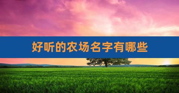 农场起名字大全虎宝宝（农场起什么名字比较好听）