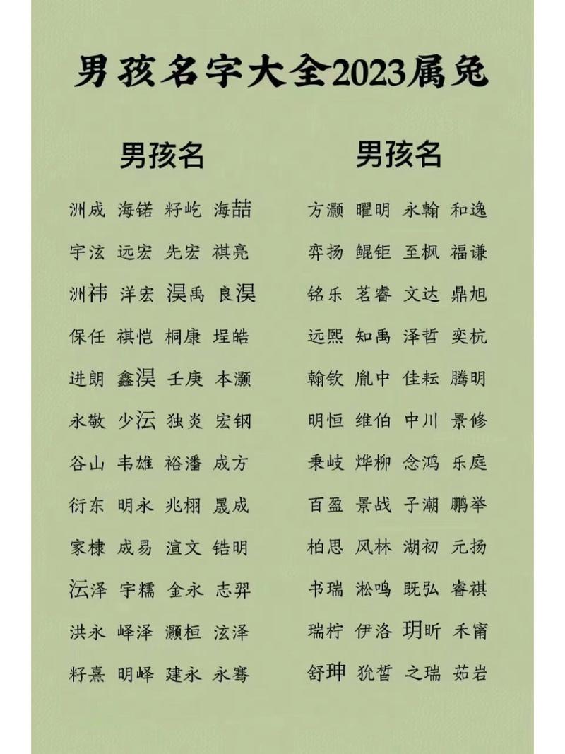 男孩起名字大全2022（男孩起名字大全2022属兔）