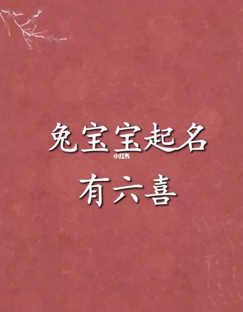 兔年宝宝起名字书籍（兔年宝宝起名大全2011）