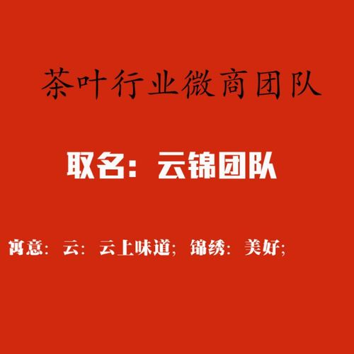 微商公司起名字推荐一下（微商公司起名大全）