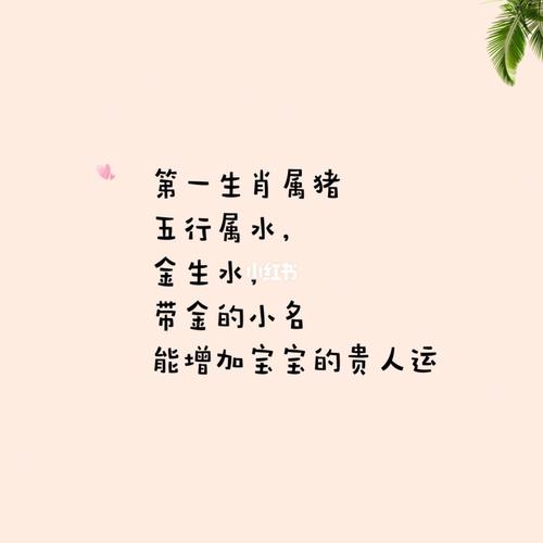 2019属猪宝宝起名字（2019属猪宝宝起名字男孩）