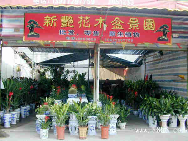 卖鲜花盆栽的店铺起名大全（盆栽花卉店名）