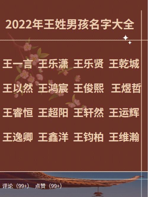 2022虎年王姓男孩名字（姓王的虎宝宝男孩名字）