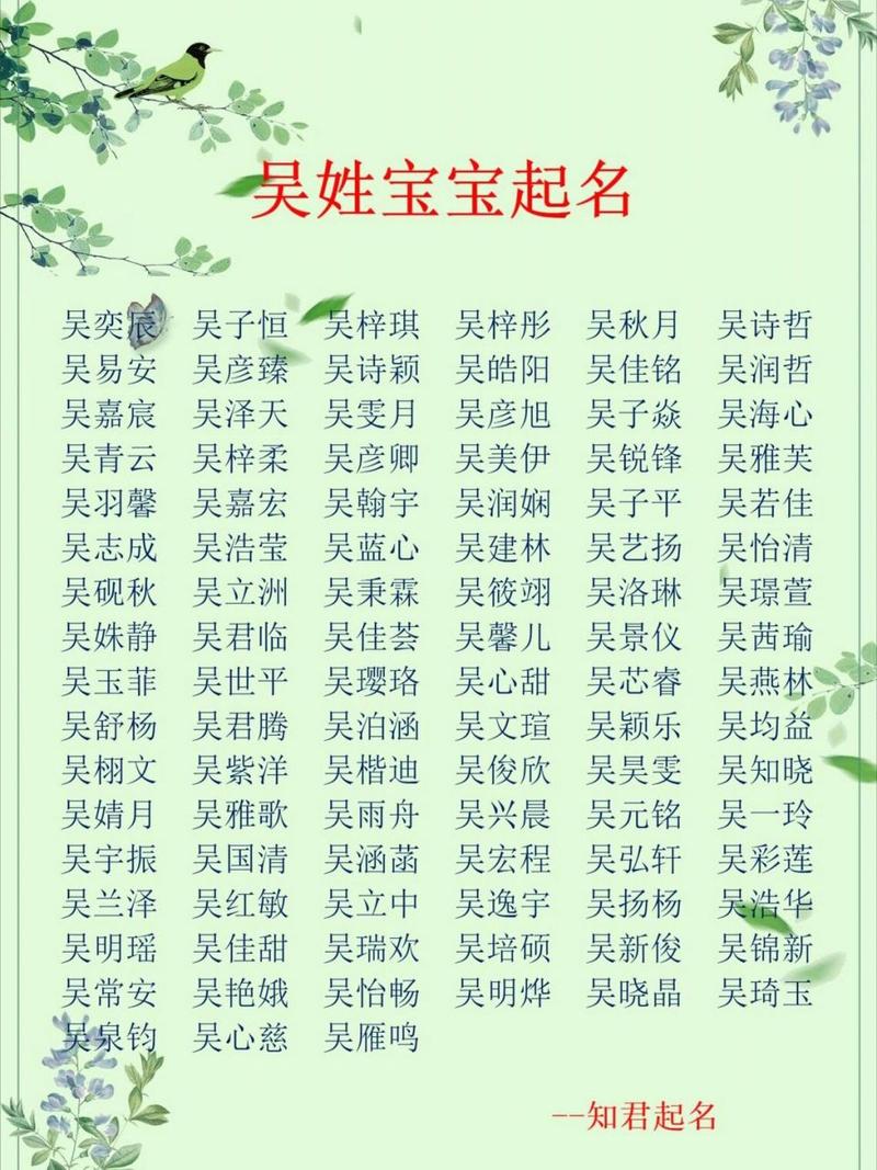 孩子起名字大全集姓吴（孩子起名字大全集姓吴怎么起）