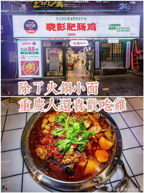 肥肠鸡店铺起名字大全（肥肠鸡店名怎么起名）