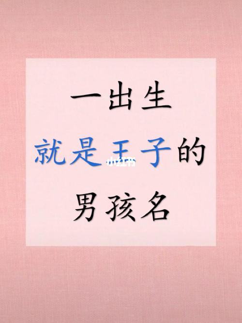 起名字大全王子...（王子起名字大全免费）