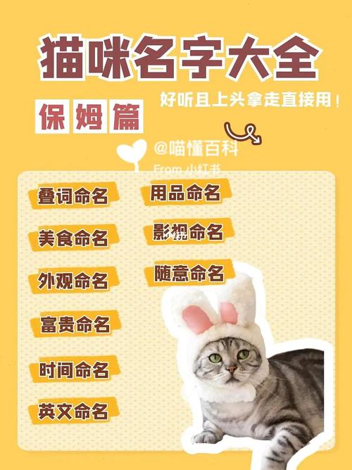 给小猫宝宝起名字（给小猫宝宝起名字大全）