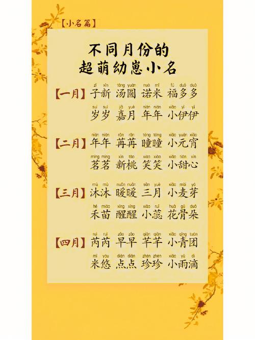 宝贝起名小名名字大全（宝贝取小名）