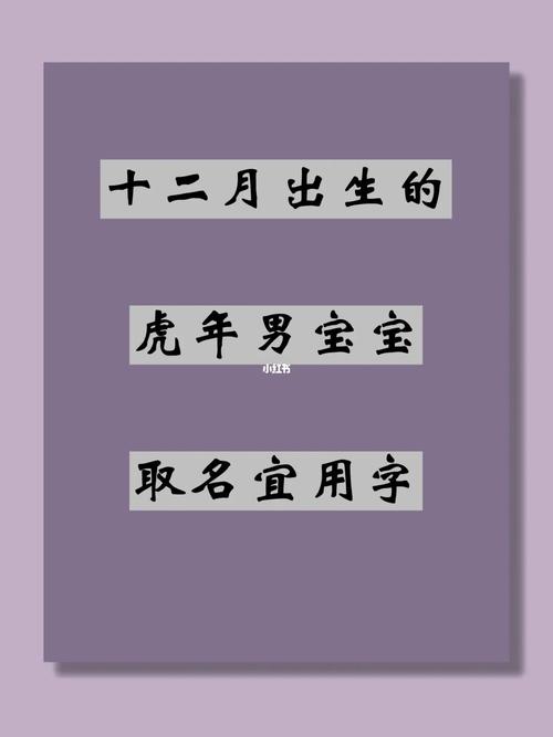 属虎开公司取名宜用字大全（属虎人公司取名宜用什么字）