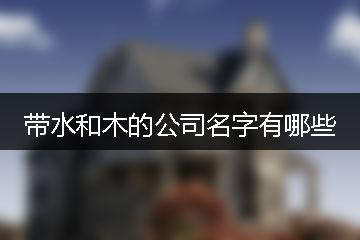 公司起名字跟水有关系的字有哪些（和水有关的公司名称）