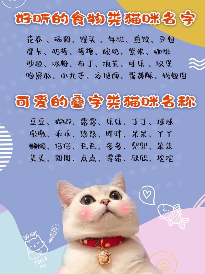 小猫起名勇敢的名字大全（小猫起名可爱）