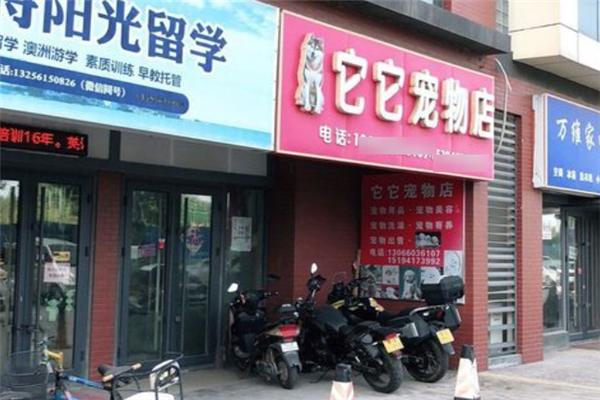 宠物托管店铺起名字大全（宠物托管店铺起名字大全最新）