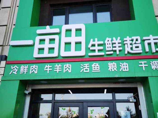 蔬菜冻货店铺起名字大全（蔬菜冻货店铺起名字大全四个字）