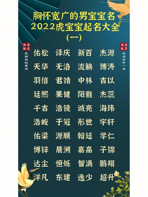 最新虎年宝宝起名字男孩（虎年男宝取名字）