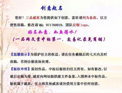 网站起名字公司文案怎么起（给网站起名）