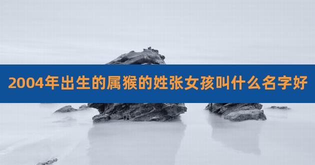 2004年猴宝宝取名大全（2004年属猴的名字里面带什么字最好）