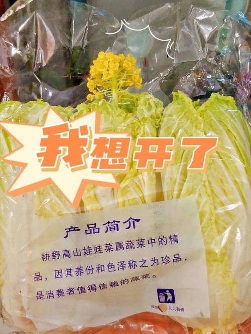 小伙子蔬菜店铺起名大全（小伙子蔬菜店铺起名大全集）