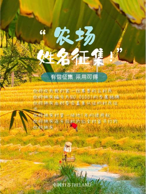 儿童农场起名字大全（农场创意名字）